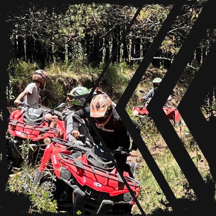 atvforestal-quad-4